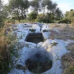 Dei Papiri Fonte Ciane Συρακούσες