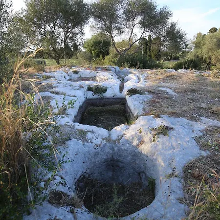 Dei Papiri Fonte Ciane Сиракузы
