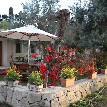 Dei Papiri Fonte Ciane *