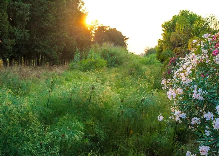 Vakantieboerderij Dei Papiri Fonte Ciane *